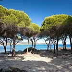 Villa Con Piscina Vista Mare 12 Posti Letto By Budoni Affitti *