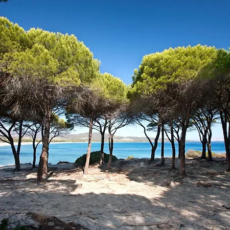 Vila Con Piscina Vista Mare 12 Posti Letto By Budoni Affitti *